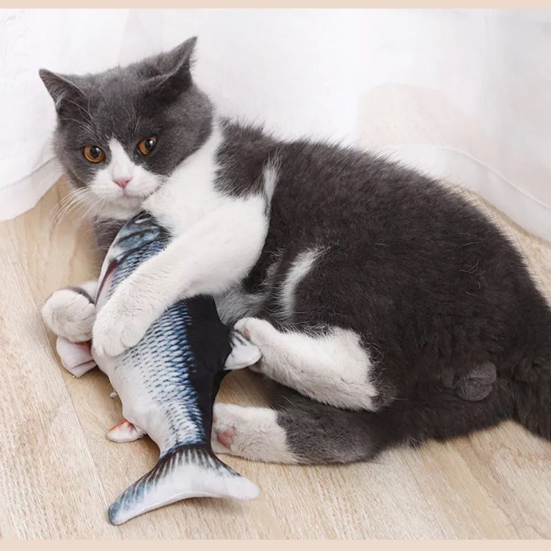 Ficánkoló hal - Image 5